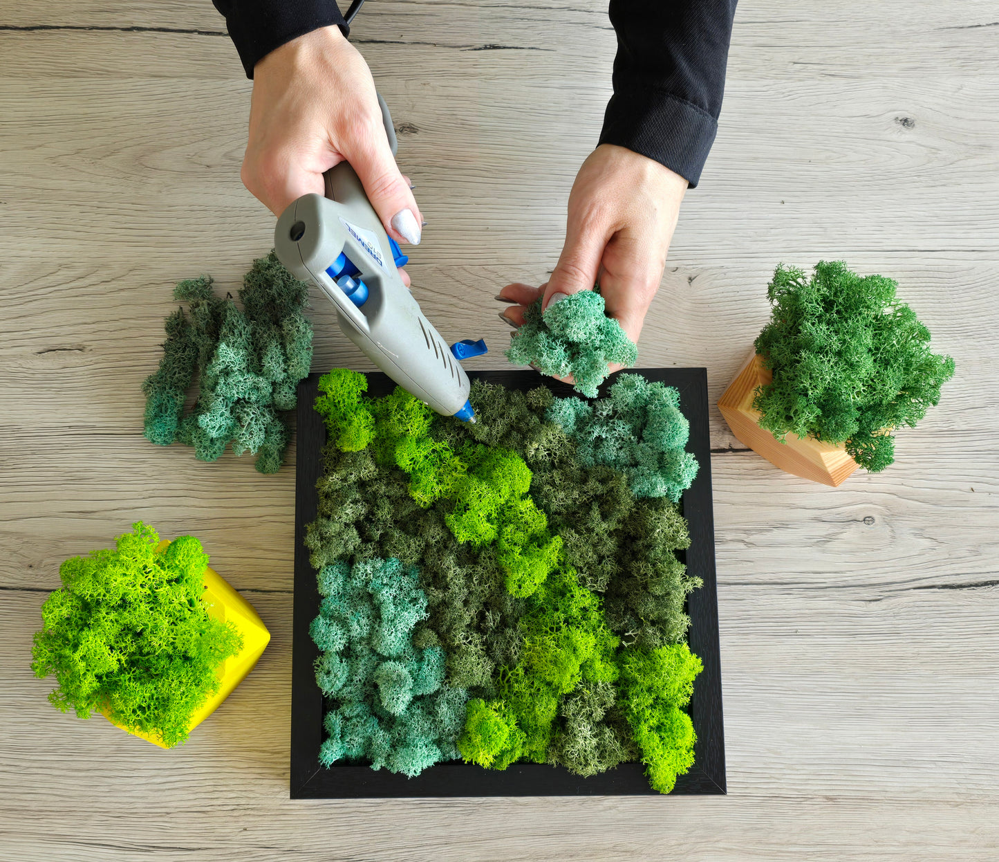 Dark Green Preserved Moss (Box 3)