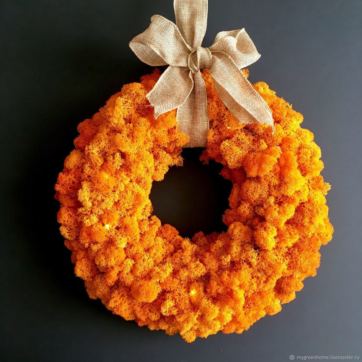 Orange Preserved Moss (Box 1)