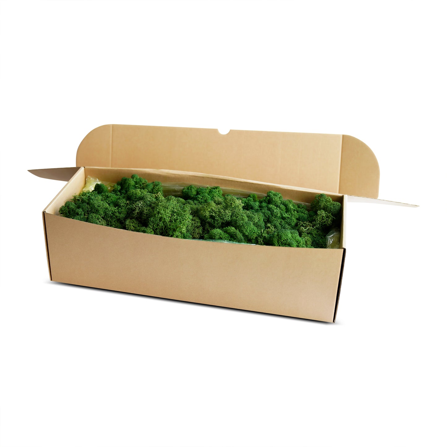 Dark Green Preserved Moss 1kg (box)