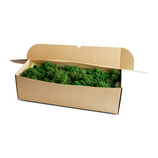 Dark Green Preserved Moss 1kg (box)