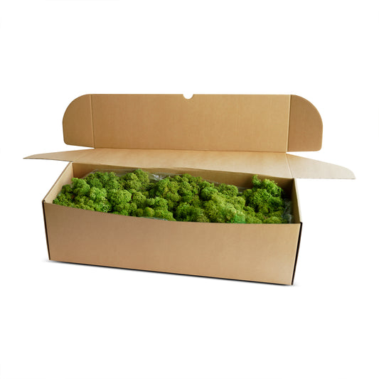 Natural Green Preserved Moss 1kg (box)
