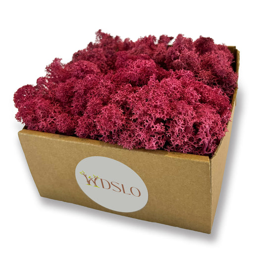 Magenta Preserved Moss (box)