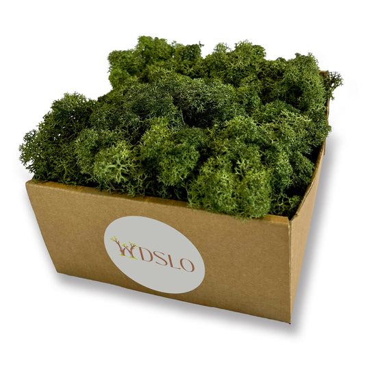 Dark Green Preserved Moss (box)