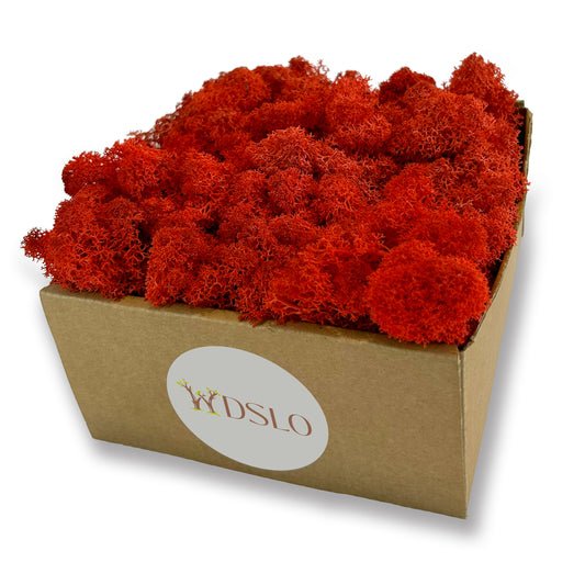 Red Preserved Moss (box)