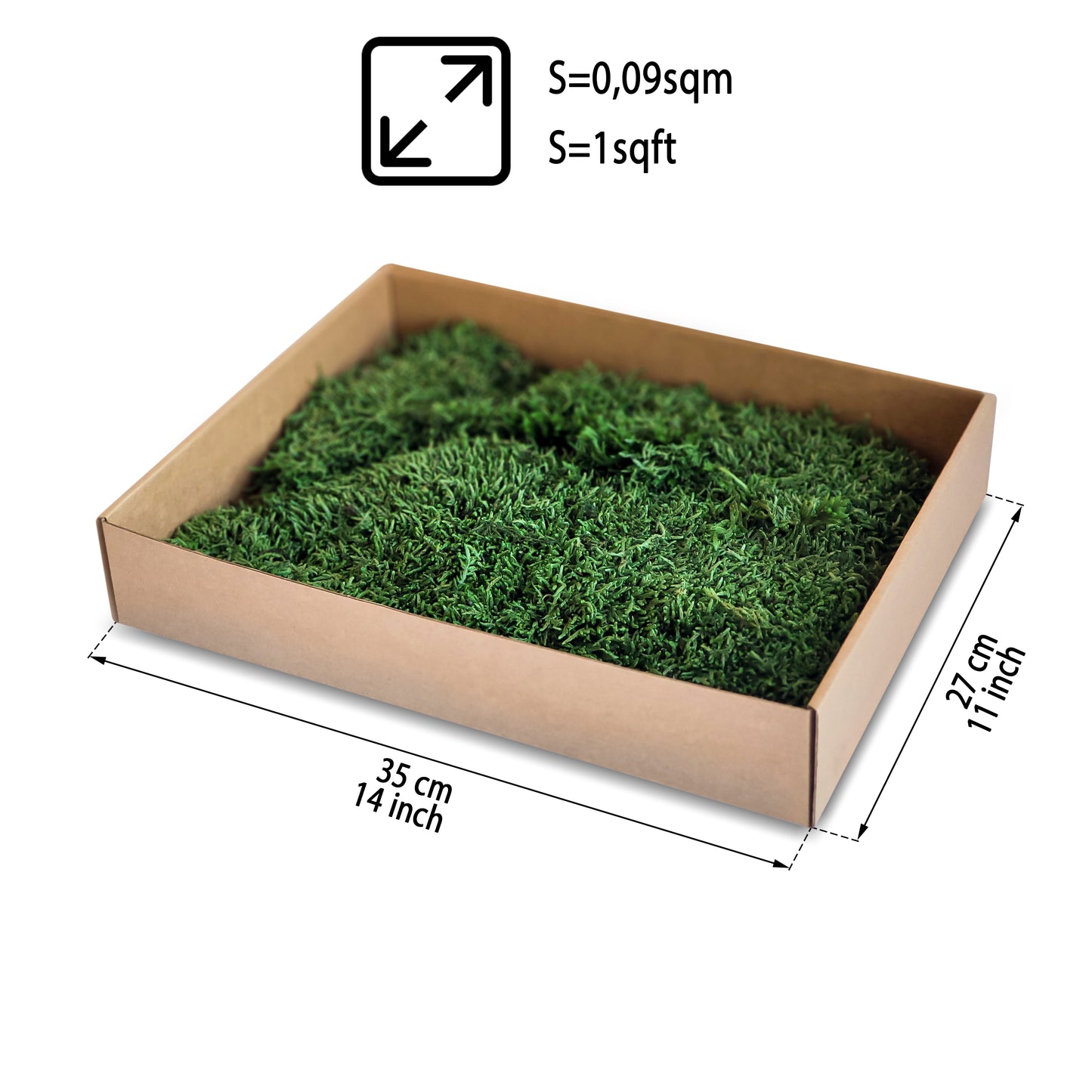 Forest Green Preserved Flat Moss