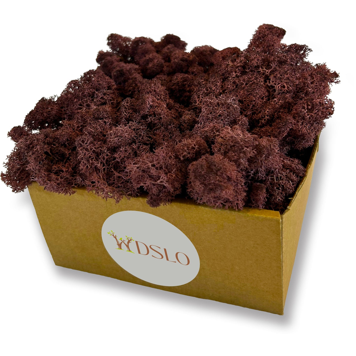 Lilac Preserved Moss (box)