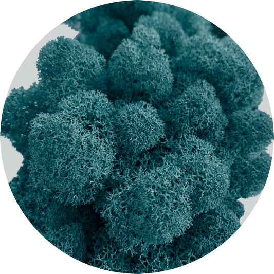 Blue Preserved Moss 100g (bag)