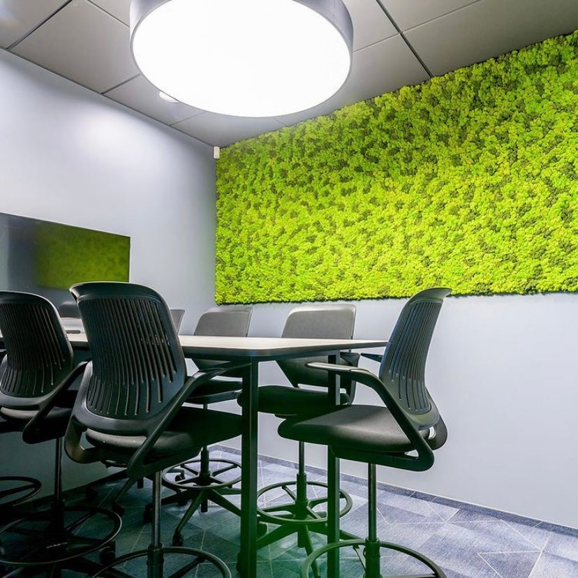 Spomladanski zeleni konzervirani mah 1 kg (škatla)