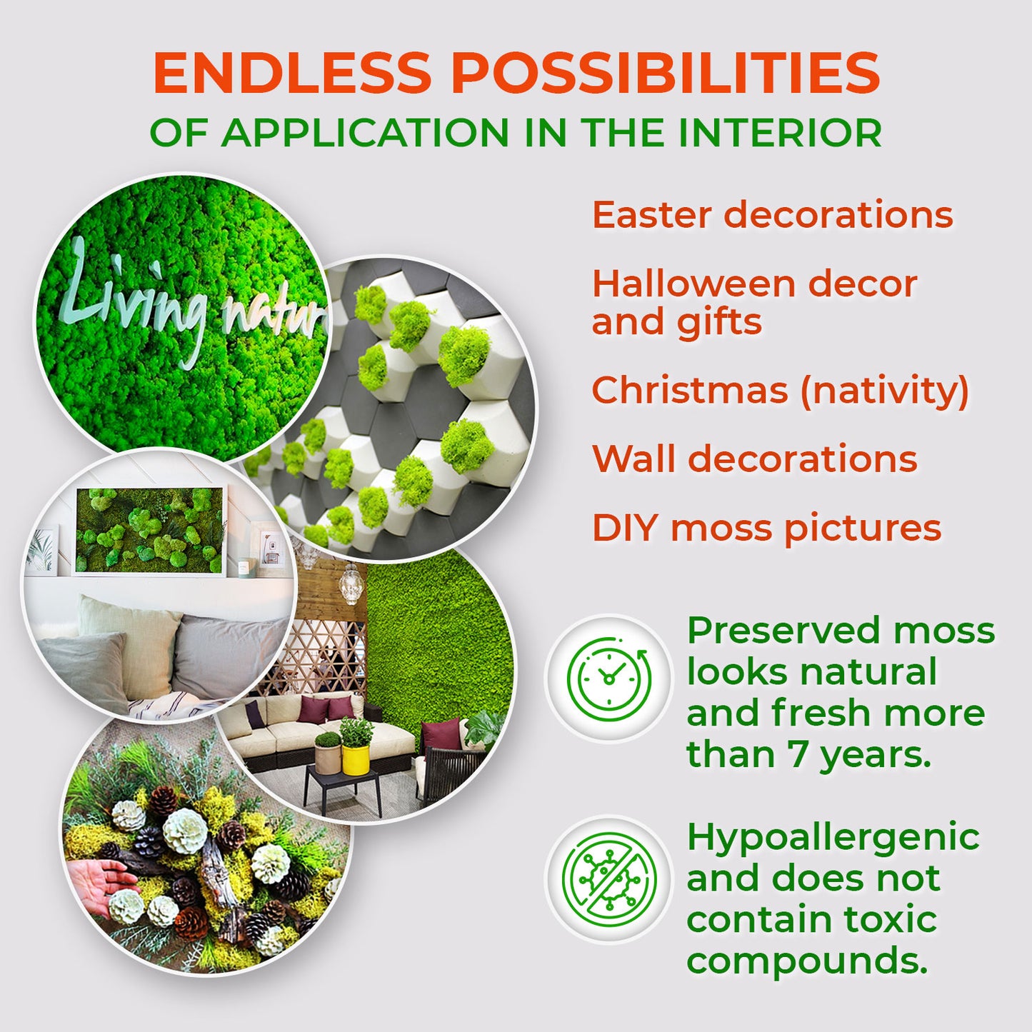 Spring Green Preserved Moss (box)