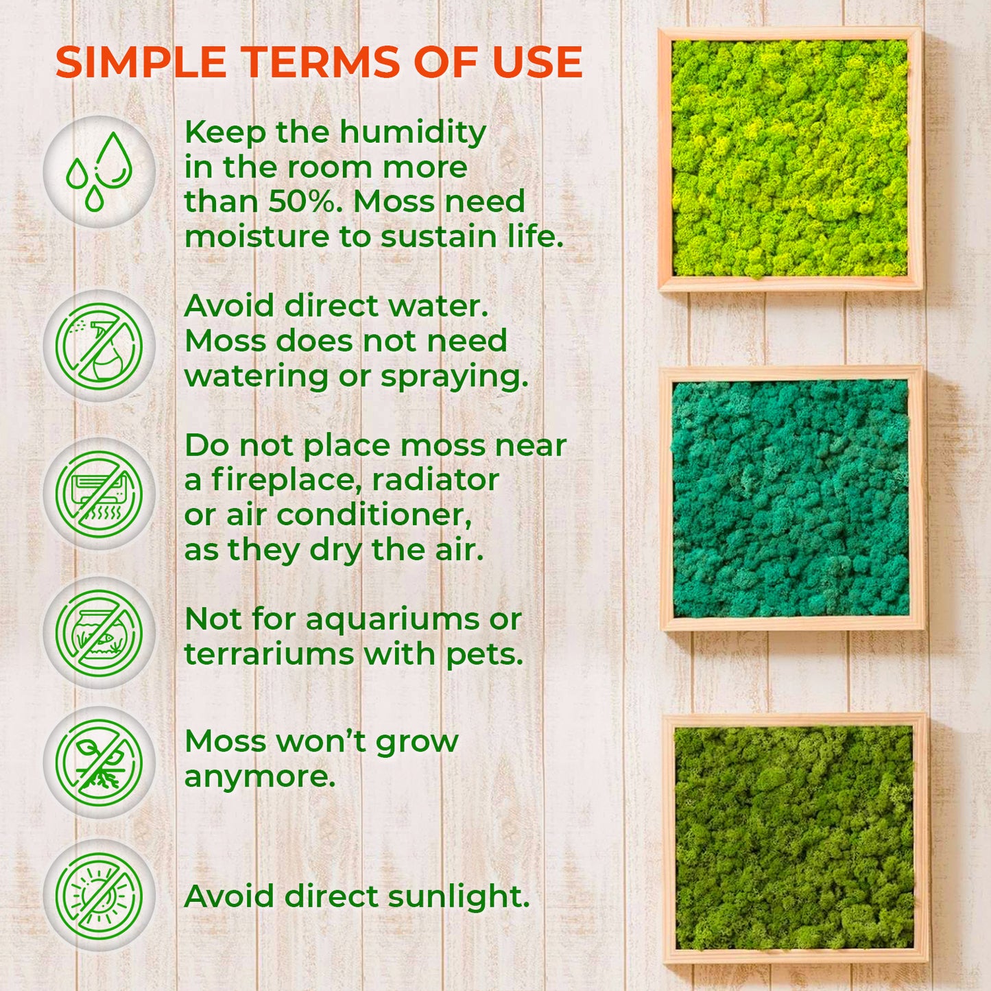 Large Sakura Moss Wall Art with Preserved Moss