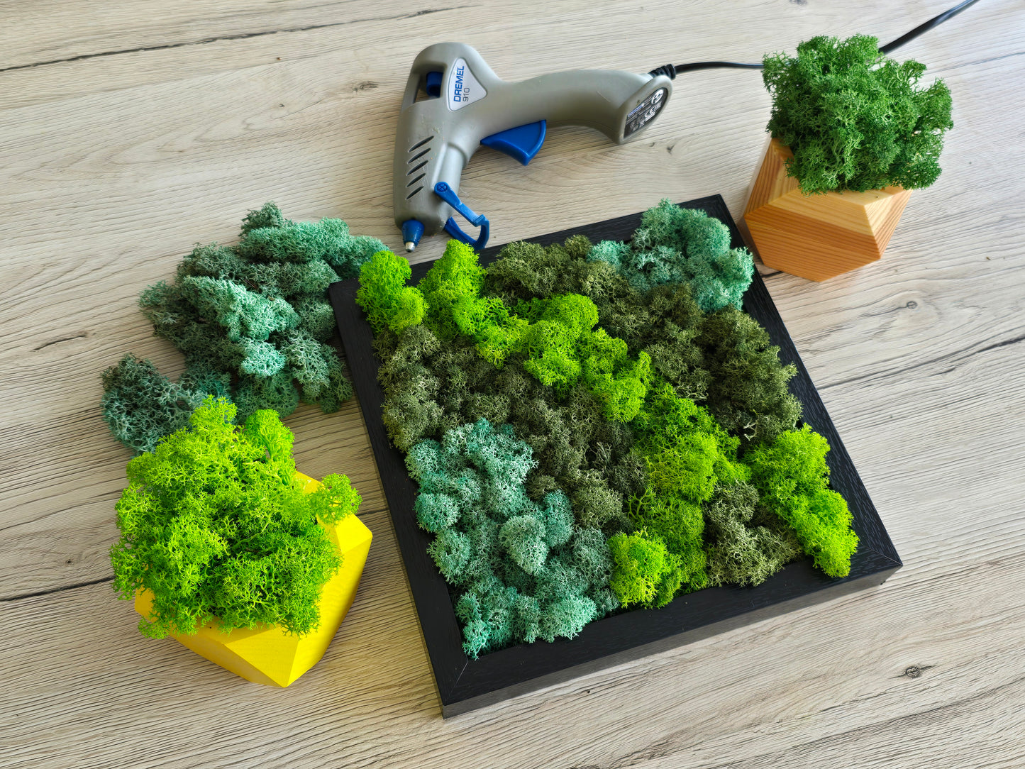 Burgundy Preserved Moss (Box 1)