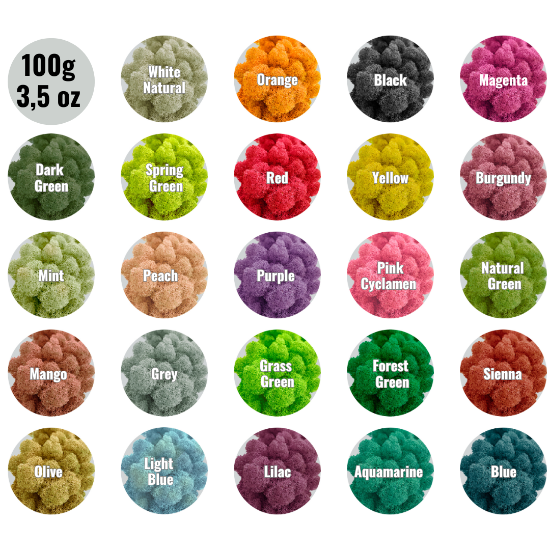 Magenta Preserved Moss 100g (bag)