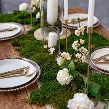 Forest Green Preserved Flat Moss