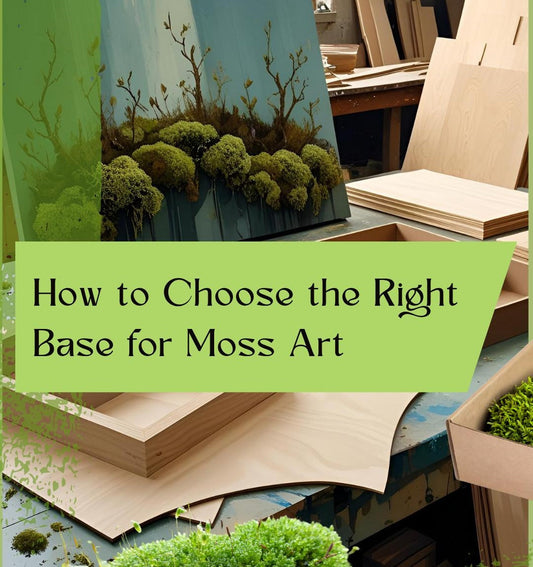 How to Choose the Right Base for Moss Art