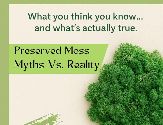 Myth and Reality about Preserved Moss