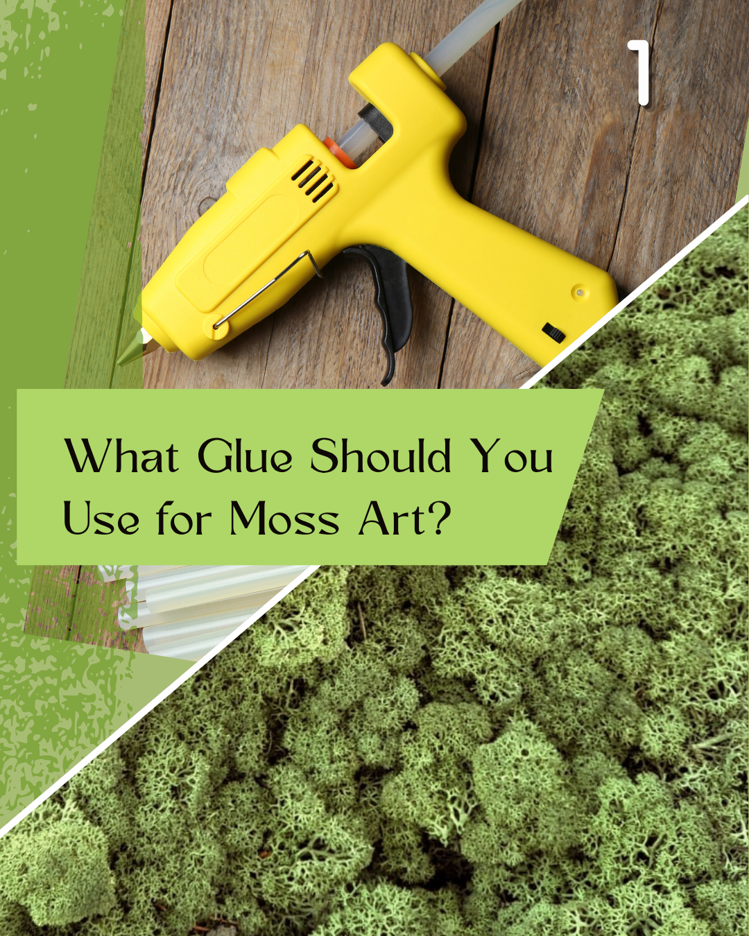 Which Glue Should You Use for Moss Art