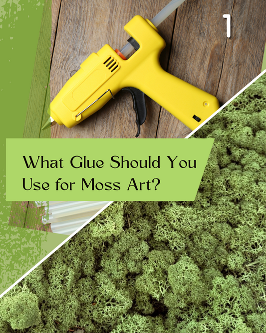 Which Glue Should You Use for Moss Art