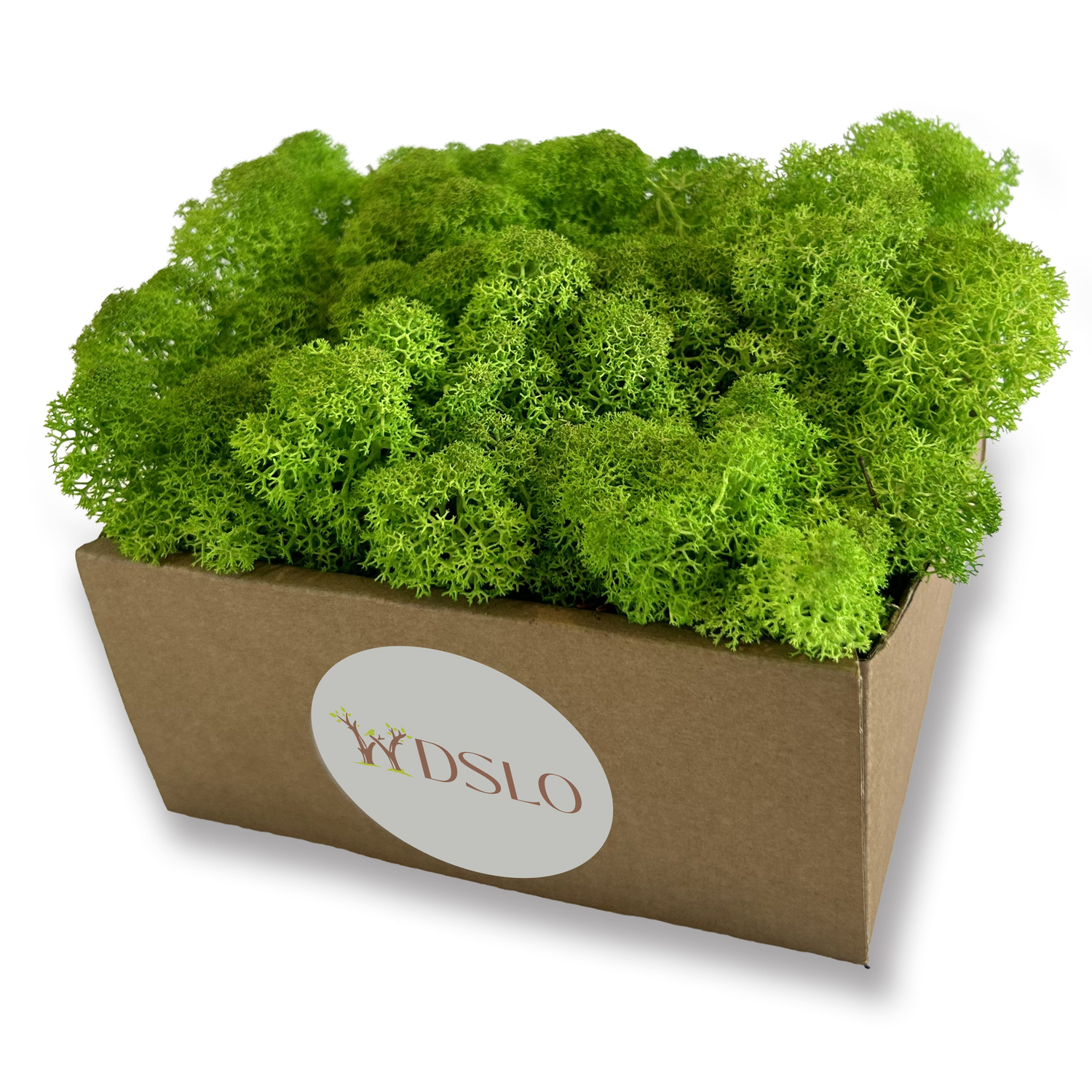 Preserved Reindeer Moss
