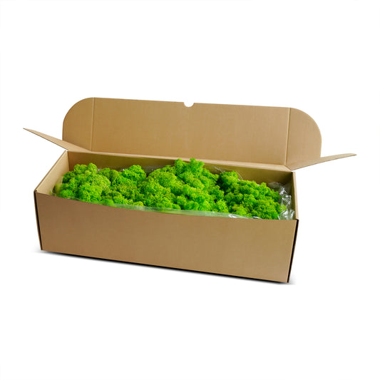 Grass Green Preserved Moss 1kg (box)