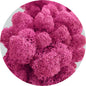 Magenta Preserved Moss 100g (bag)