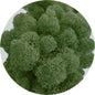 Dark Green Preserved Moss 100g (bag)
