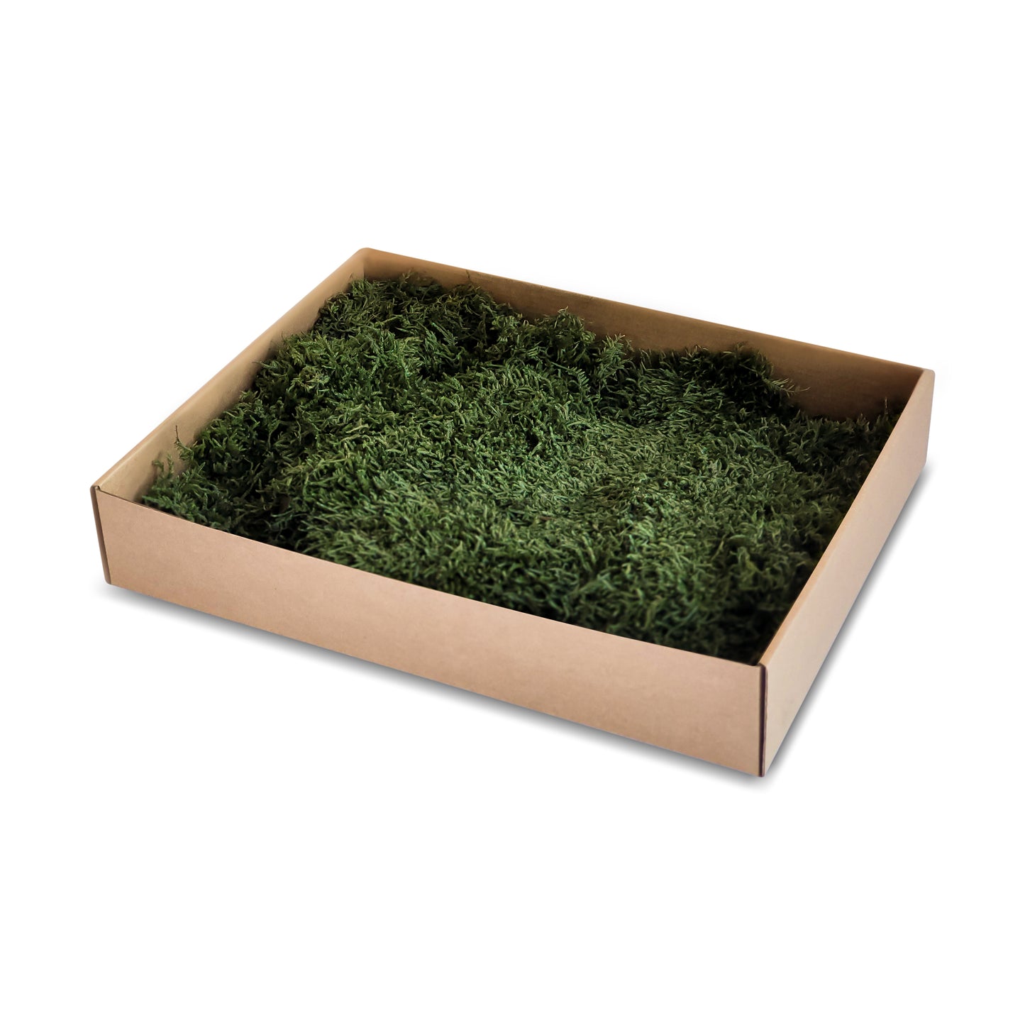 Dark Green Preserved Flat Moss