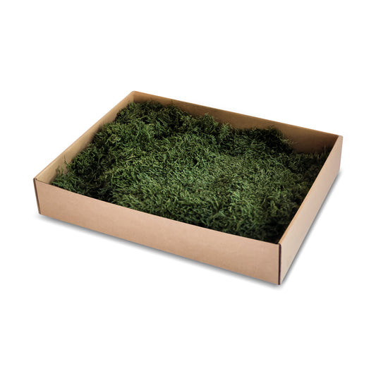 Dark Green Preserved Flat Moss