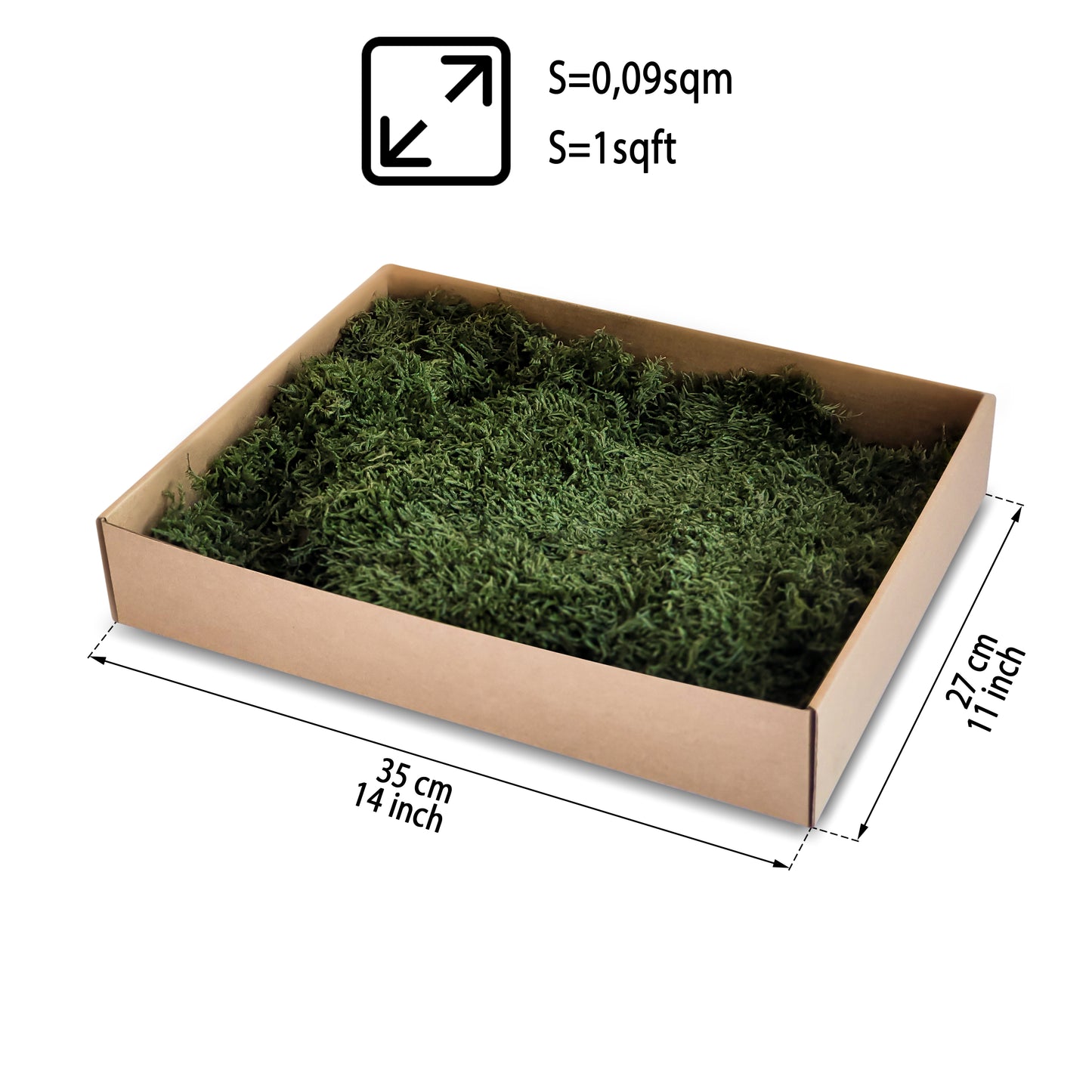 Dark Green Preserved Flat Moss