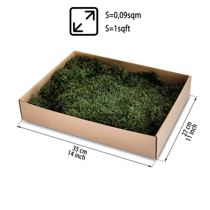 Dark Green Preserved Flat Moss
