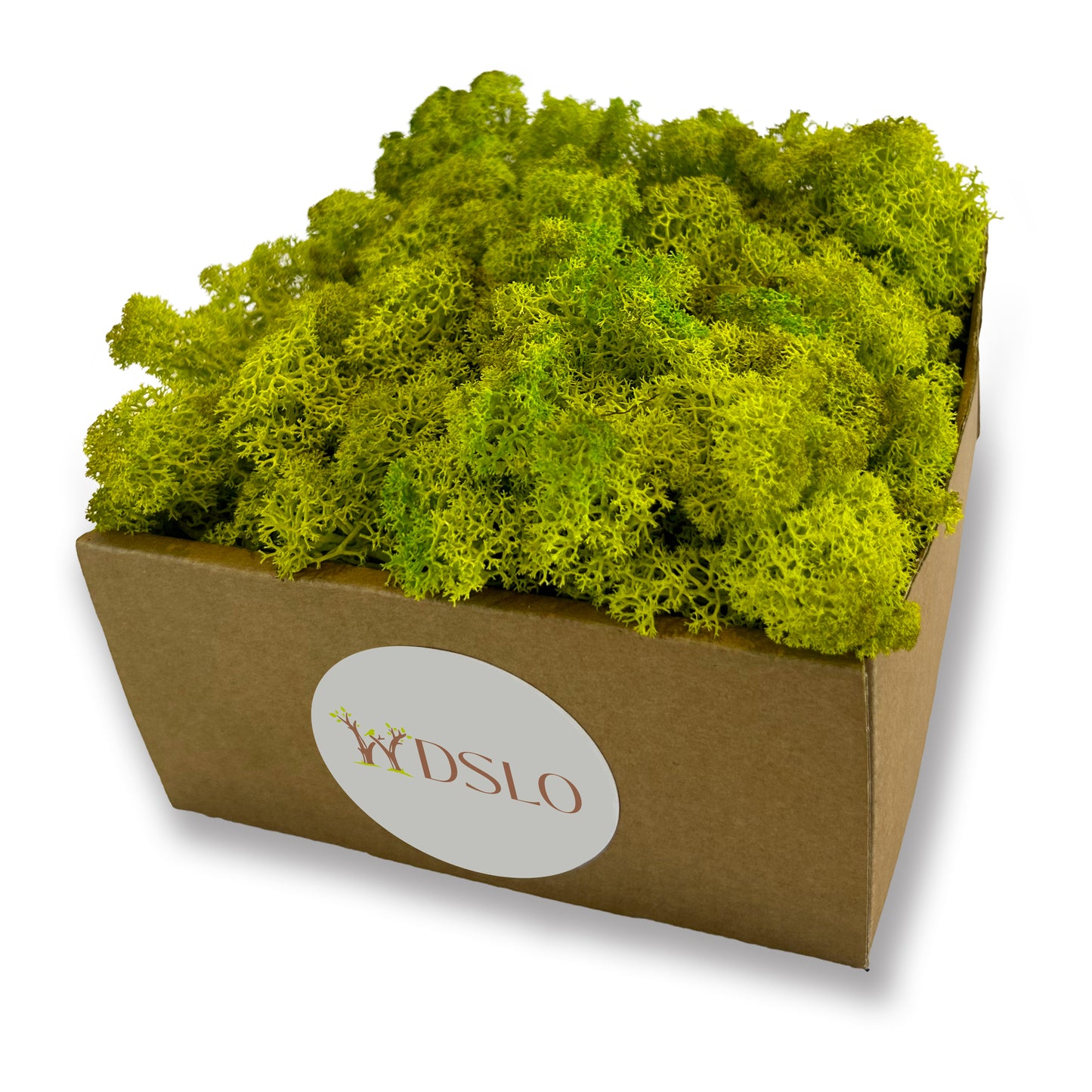 Spring Green Preserved Moss (box)