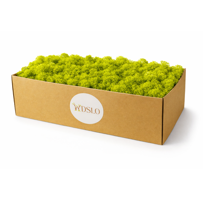 Box of green moss with WDSLO logo on a white background