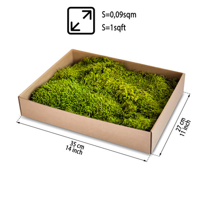 Chartreuse Green Preserved Flat Moss