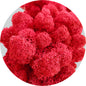 Red Preserved Moss 100g (bag)