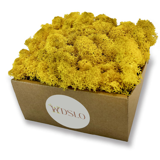 Yellow Preserved Moss 320g (box)