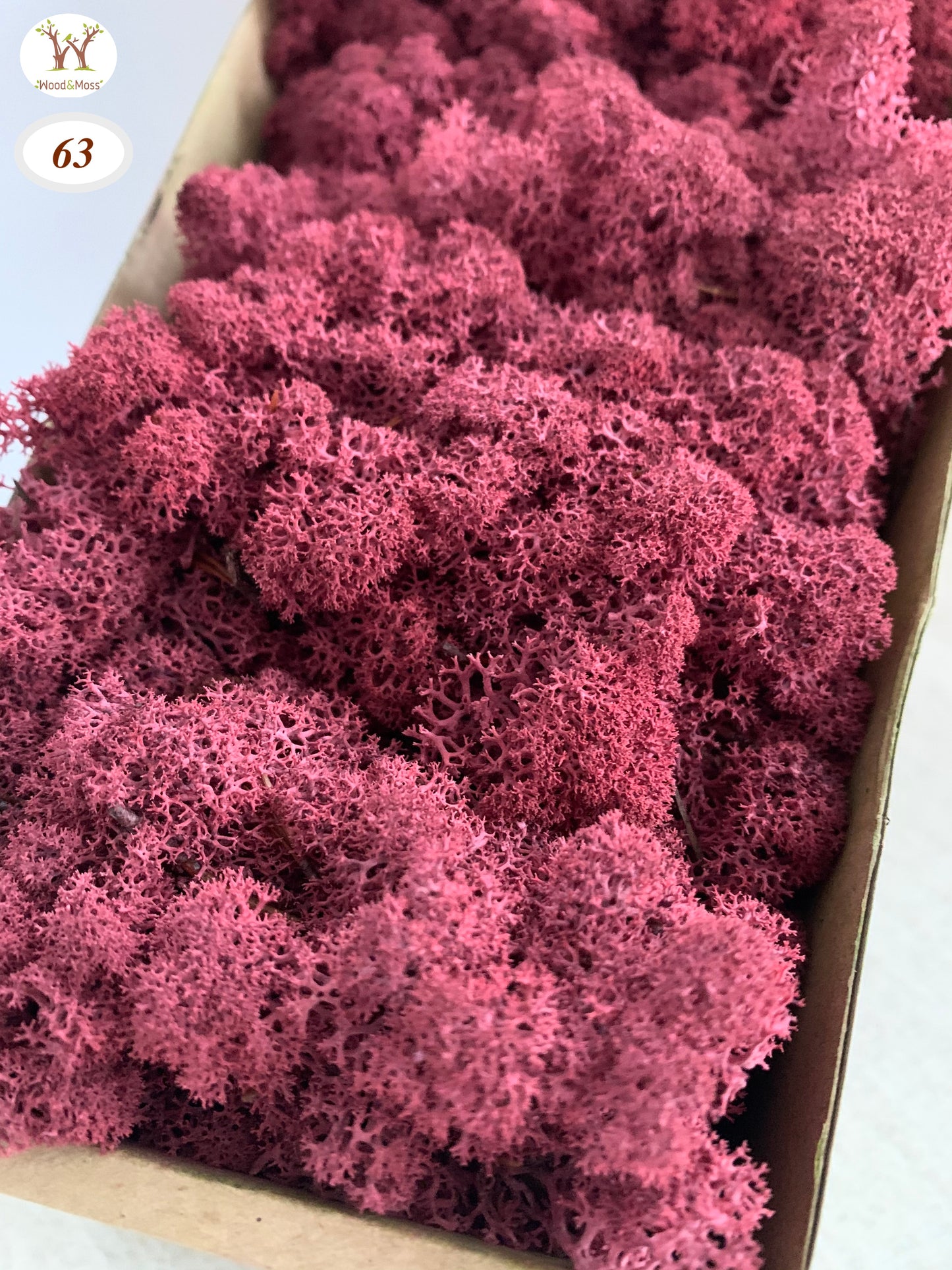 Burgundy Preserved Moss 100g (bag)