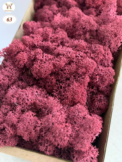 Burgundy Preserved Moss 100g (bag)
