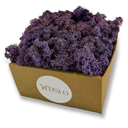 Purple Preserved Moss (box)