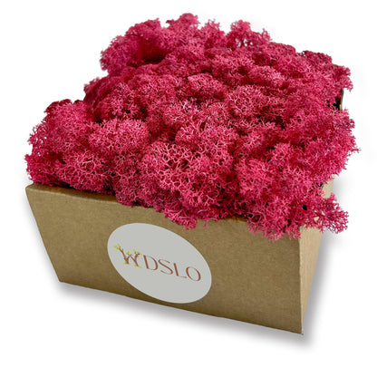 Pink Cyclamen Preserved Moss (box)