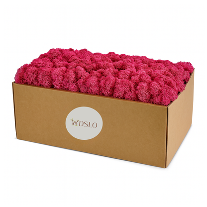 Box of pink reindeer decorative moss with WDSLO label 
