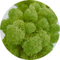 Natural Green Preserved Moss 100g (bag)