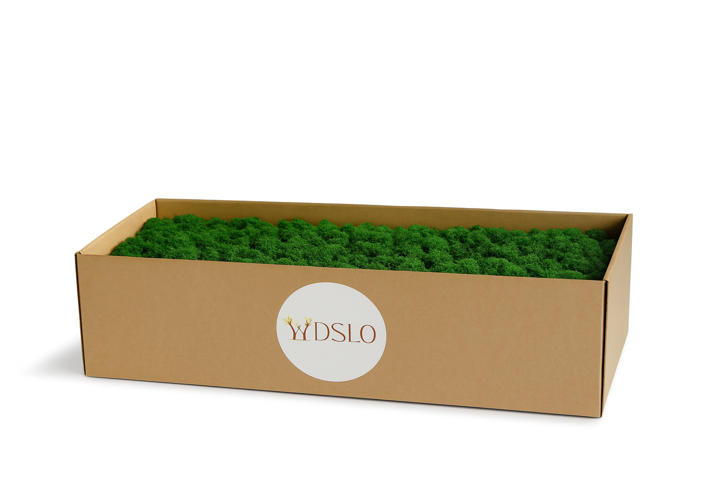 Mah (jelenov lišaj) Gozdno zeleni 1 kg (škatla)