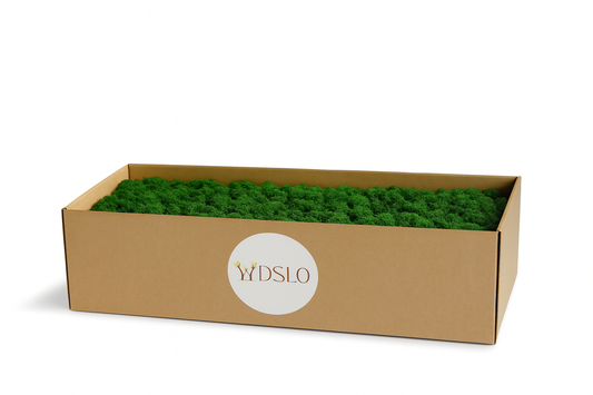 Mah (jelenov lišaj) Gozdno zeleni 1 kg (škatla)