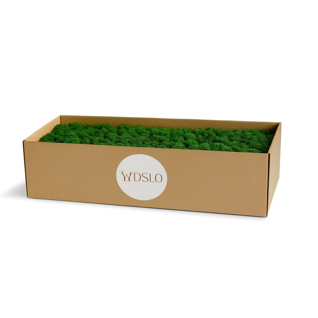 Box of green moss with Wdslo logo on a white background