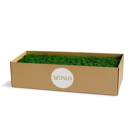 Box of green moss with Wdslo logo on a white background