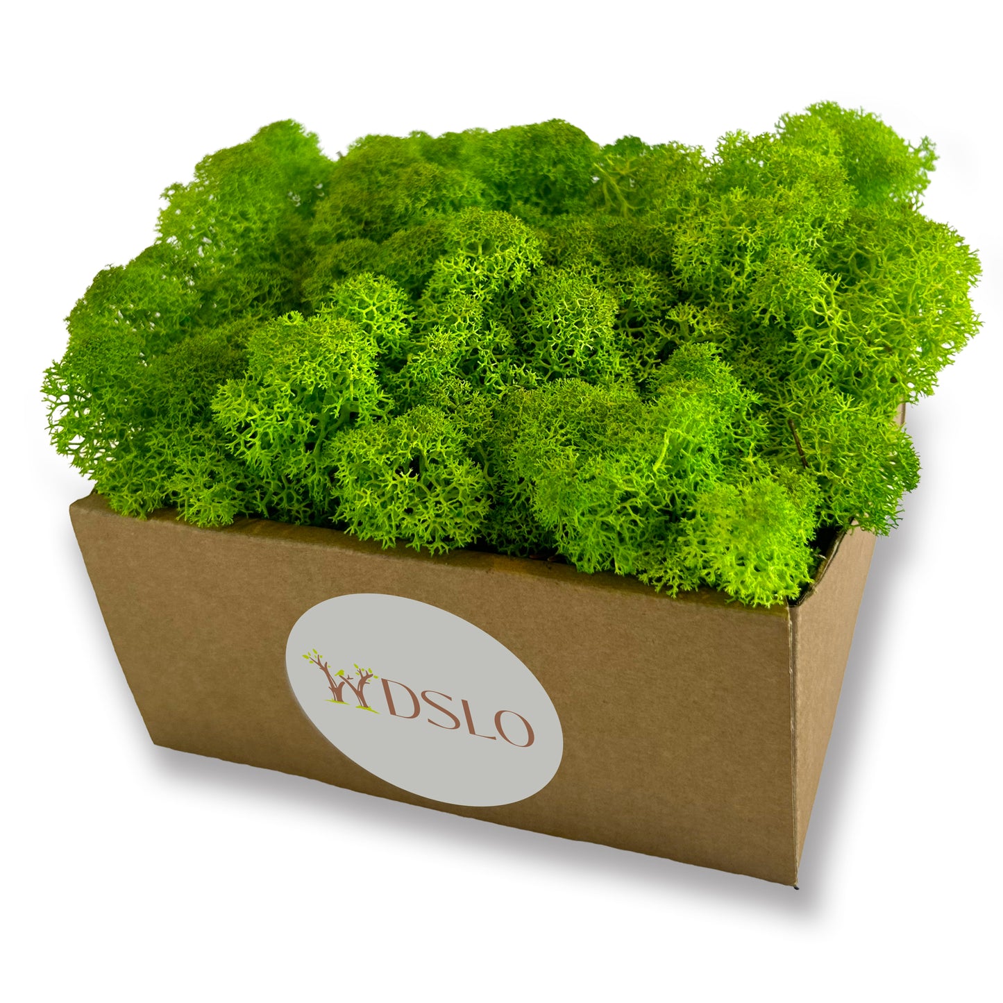Grass Green Preserved Moss (box)