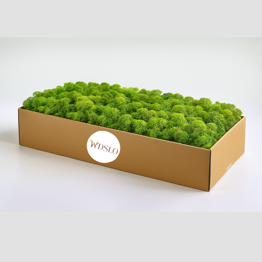 Mah (jelenov lišaj) Travnato zeleni 1 kg (škatla)