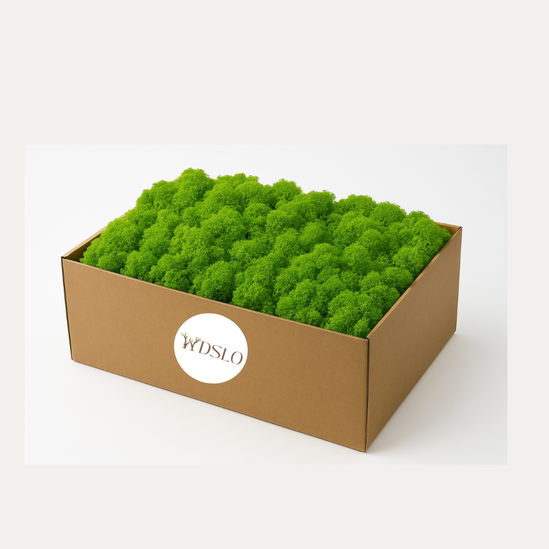 Grass Green Preserved Moss (Box 4)