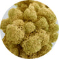 Olive Preserved Moss 100g (bag)