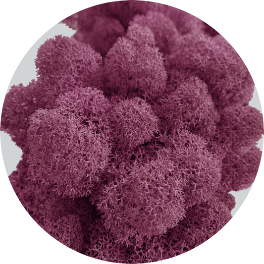Lilac Preserved Moss 100g (bag)