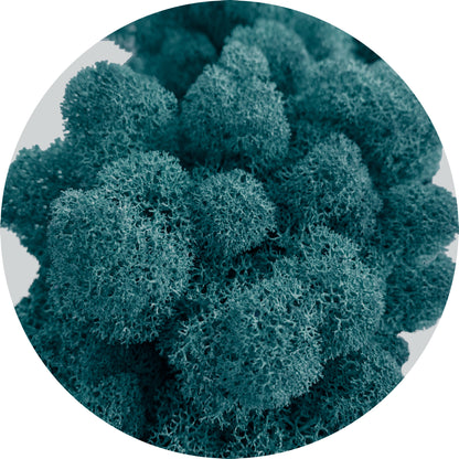 Blue Preserved Moss 100g (bag)